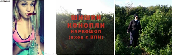 твердый Горно-Алтайск