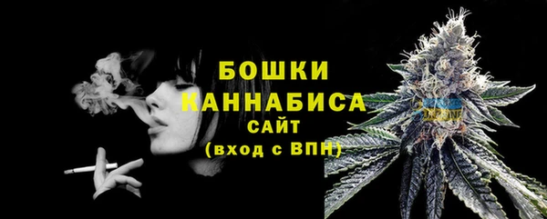 твердый Горно-Алтайск