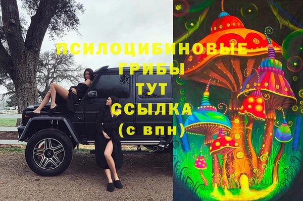 герыч Горнозаводск