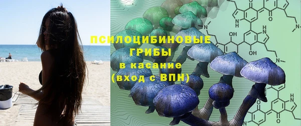 твердый Горно-Алтайск