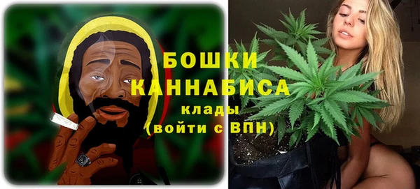 твердый Горно-Алтайск