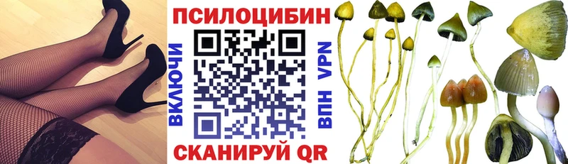 Галлюциногенные грибы мицелий  Купить где  Нальчик 